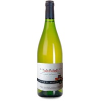 Vigneti Massa Anarchia Costituzionale