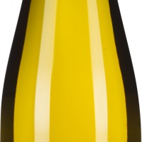 Grüner Veltliner Parapluiberg Traisental