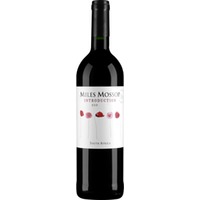 Miles Mossop Introduction Red