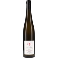 Riesling GG Himmelreich Herxheim Odinstal (bio)