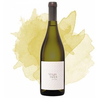 Pinot Grigio Grave del Friuli (Bidoli)