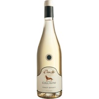 Villa Canlungo Pinot Grigio IGT - Eugenio Collavini