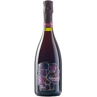 PIETRASCURA Lambrusco Grasparossa di Castelvetro DOC trocken - Pezzuoli