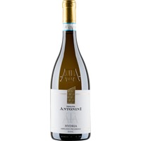 Hydria Pecorino d'Abruzzo DOC trocken - Tenuta Antonini Alessio