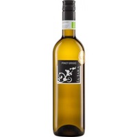 Pinot Grigio Bianco delle Venezie DOC La Jara - Azienda Agricola La Jara