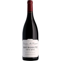 Méo-Camuzet : Bourgogne Côte d'Or Cuvée Etienne Camuzet Domaine