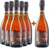 5+1 Paket Pietrachiara Rosé Lambrusco di Sorbara DOC - Pezzuoli 