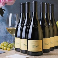 Sauvignon Blanc Winkl