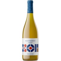 Murviedro Santerra Albariño sobre lias Rias Baixas DO - - Galizien, Spanien