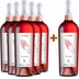 5+1 Paket Forme Rosato Puglia IGP - Cantine Massimo Leone 