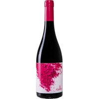 Rialla Garnacha Negra Terra Alta DO trocken Bio - Celler Rialla