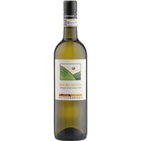 Matteo Correggia Roero Arneis DOCG 0,75 ℓ
