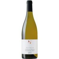 Tercic Planta Venezia Giulia IGT Chardonnay 0,75 ℓ