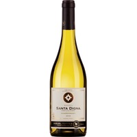 Familia Torres Santa Digna Chardonnay - - Valle Central, Chile