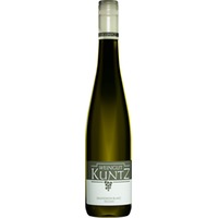 Sauvignon Blanc -trocken- trocken - Weingut Kuntz
