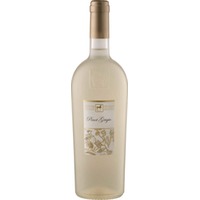 Premium Pinot Grigio Terre D'Abruzzo Igp