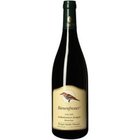 Weingut Pitnauer Zweigelt Bienenfresser - - Carnuntum, Österreich