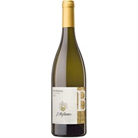 Hofstätter Pinot Bianco Alto Adige DOC Vigna S. Michele Barthenau MO - - Südtirol, Italien