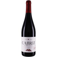 Cabriz Colheita Selecionada Tinto