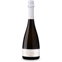 Miraval Conegliano Valdobbiadene Prosecco Superiore Extra Dry – persönliche Empfehlung