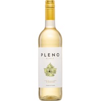 Agronavarra Pleno Blanco, Semi-Dry, Vino de la Tierra 3 Riberas, Navarra, 2024, Weißwein