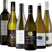 Internationale Sauvignon Blanc Bestseller - 6x Rebsortenpaket