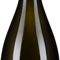 Prosecco Treviso Brut Millesimato