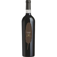 Ripasso della Valpolicella classico superiore DOC Piuma