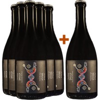 5+1 Paket Sa Bolla Isola dei Nuraghi IGP - Agricola Sant’Andrè