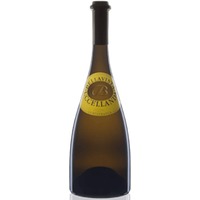 Uccellanda Curtefranca DOC - Bellavista