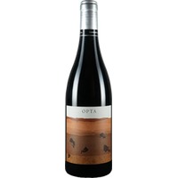 Opta Pago Calzadilla VP trocken Bio - Pago Calzadilla