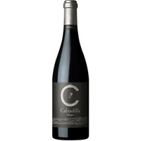 Calzadilla Allegro Pago Calzadilla VP trocken Bio - Pago Calzadilla