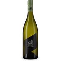 Grüner Veltliner ‚pur‘ – persönliche Empfehlung