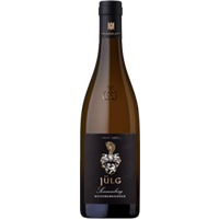 Sonnenberg Weißburgunder GG - Weingut Jülg