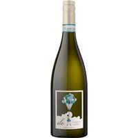 Roberto Sarotto ilo Cortese, Chardonnay Piemonte DOC - - Piemont, Italien