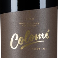 El Camino Tannat Valle Calchaquí