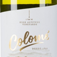 Estate Torrontés Valle Calchaquí