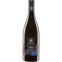 Gesellmann Blaufränkisch Hochberc BIO