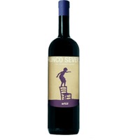 Artiul Merlot Riserva Colli Orientali DOC - Ronco Severo