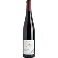Pinot Noir Vieilles Vignes Alsace AOP trocken Bio - Sipp Mack