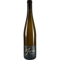Riesling Selection trocken - Weingut Mathias Mertes