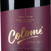 Estate Malbec Valle Calchaquí