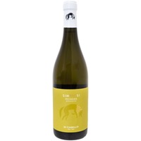 Don Camillo Simbiosi Pecorino Bianco IGP Terre di Chieti - - Abruzzen, Italien