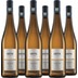 Leitz Riesling trocken VDP Gutswein 