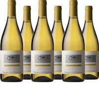 Sauvignon Blanc IGP
