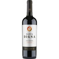 Santa Digna Carmenere Gran Reserve - Miguel Torres Chile
