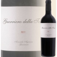 GUERRIERO DELLA TERRA