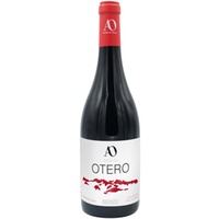 Villa de Otero Bierzo DO trocken - Anibal de Otero