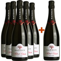 5+1 Paket Metodo Classico - Gandin