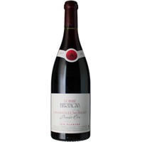 Chambolle Musigny 1er Cru Les Plantes - Domaine Bertagna